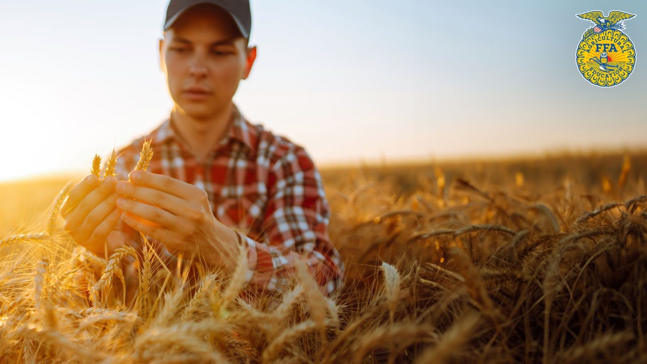 Young man inspecting a field; inset with FFA logo